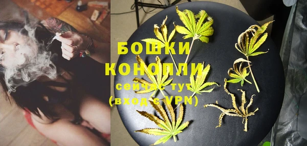 спиды Арсеньев