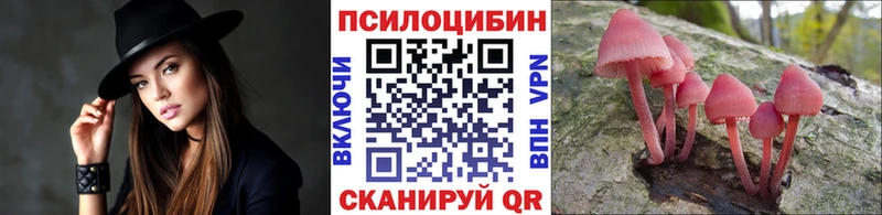 наркошоп  Чегем  Галлюциногенные грибы Psilocybine cubensis 